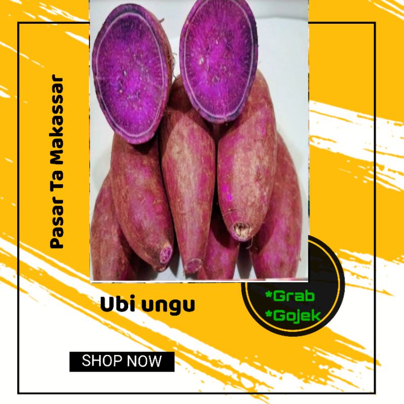 

Ubi Ungu Ubi ungu perkilo