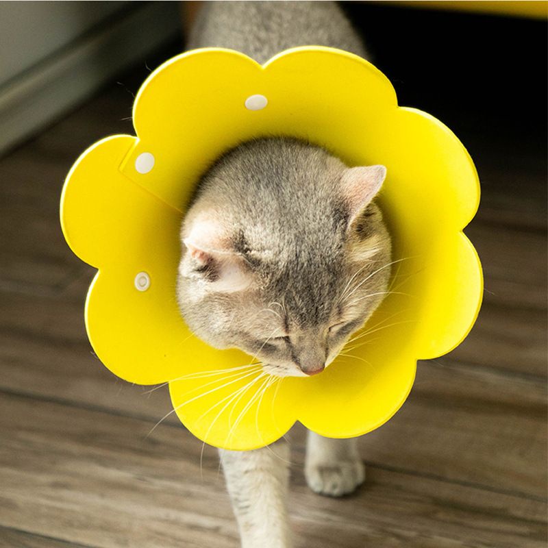 PH.Medan Pet Protection Collar Colar Anjing Kucing Pelindung Penutup Leher