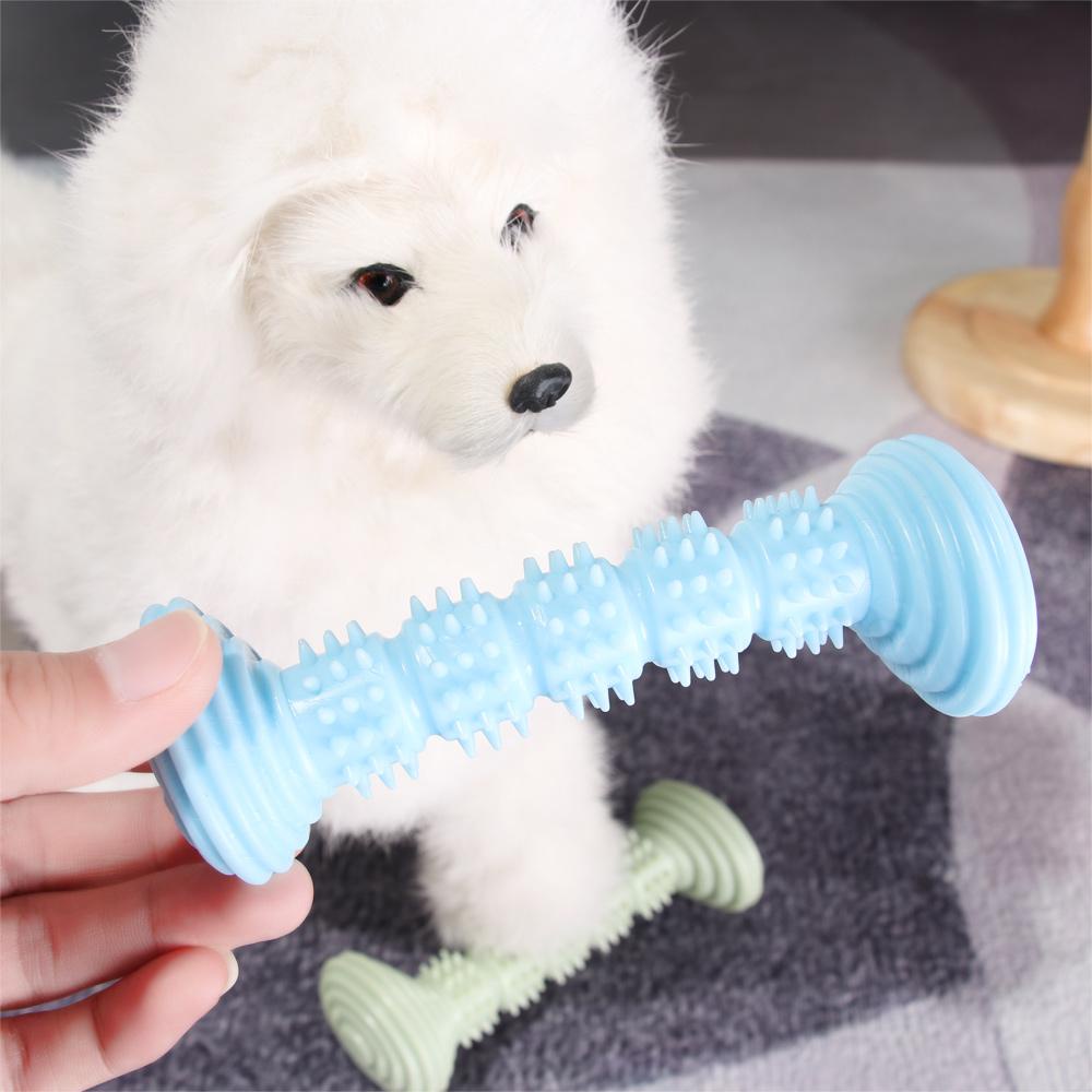 Solighter Dog Chew Toys Interaktif Dumbbells Bentuk Mainan Hewan Peliharaan Lucu