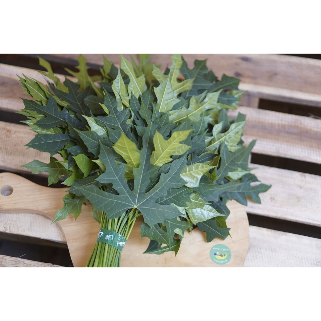 

Daun pepaya jepang / canai 1 ikat (200 gr)