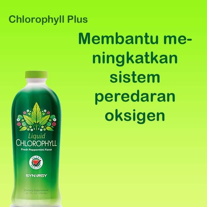 >< Herbal Ampuh Menyembuhkan Anemia Secara Alami (Chlorophyll Spirulina)