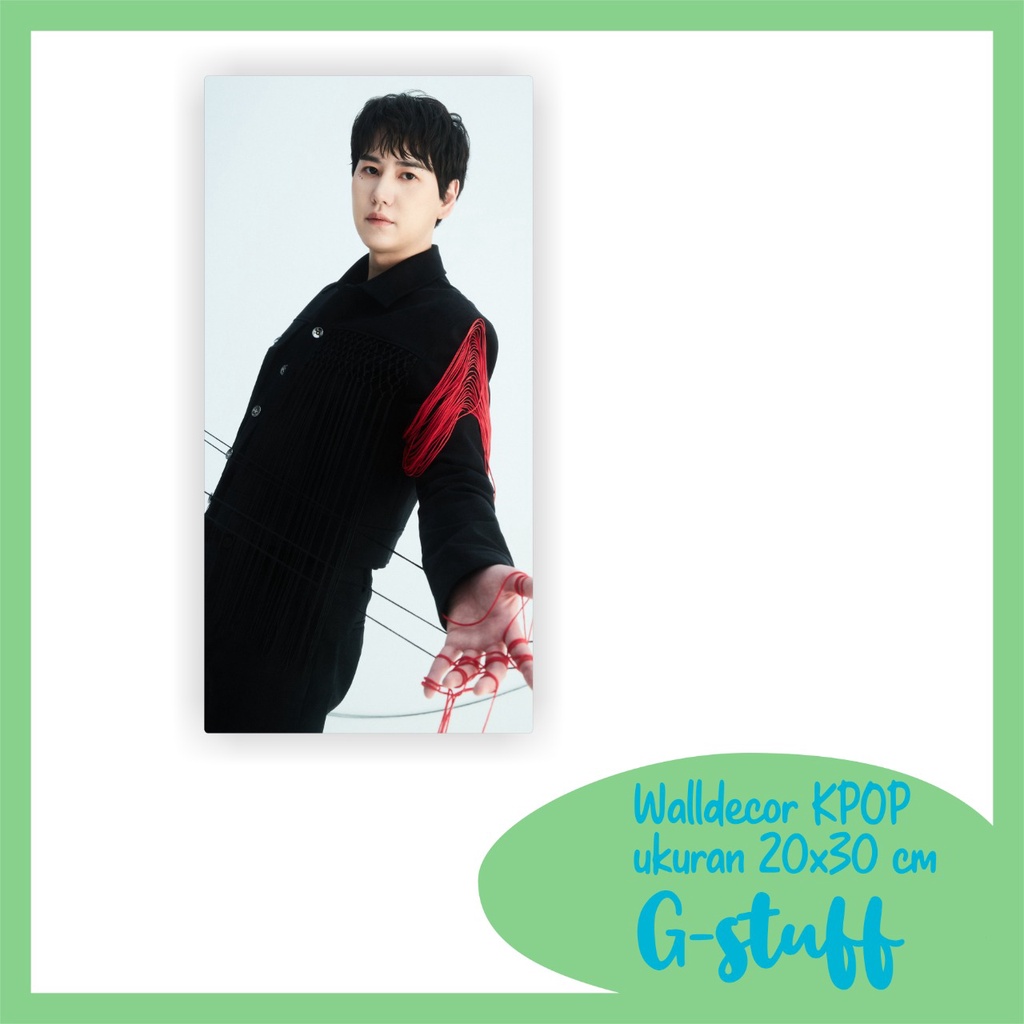 WALLDECOR KYUHYUN SUPER JUNIOR UKURAN 15X30 CM