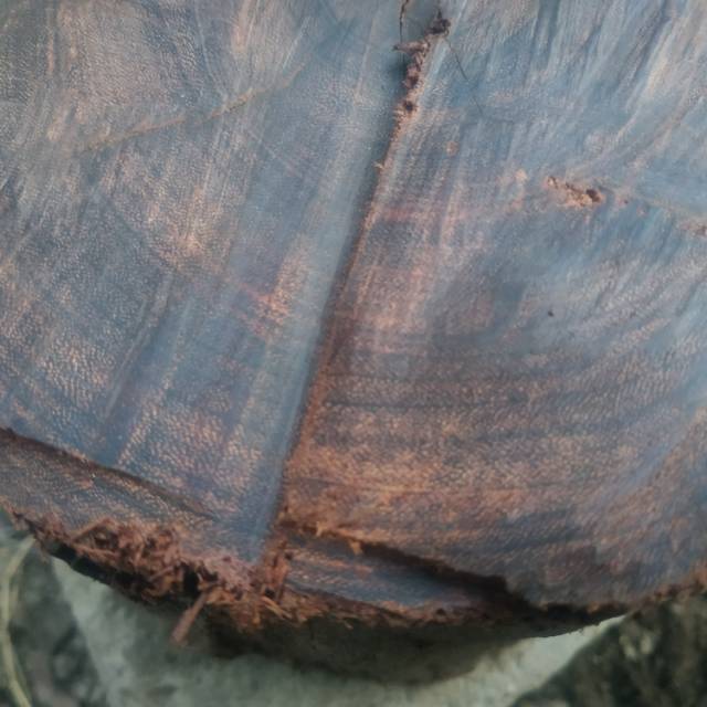 Bahan kayu galih asem gandul full galih berat 2kg gram