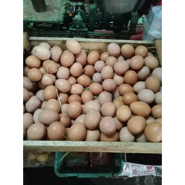 

telor ayam fresh