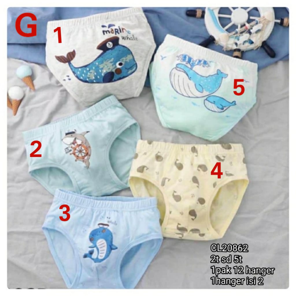 Catell Love Boxer BOY - GRUP 1 (1pcs/pack) / Boxer Anak Laki