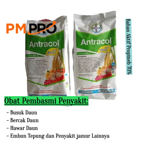 Fungisida Antracol 70 WP + Zinc 250 Gram  Bahan Aktif: Propinep 70% Obat tanaman jamur  Pada Anggrek