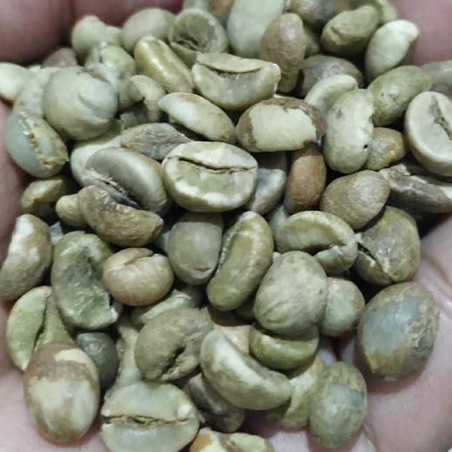 

Promo Akhir Tahun Green Bean Kopi Robusta Lampung 1 Kg Kode 744