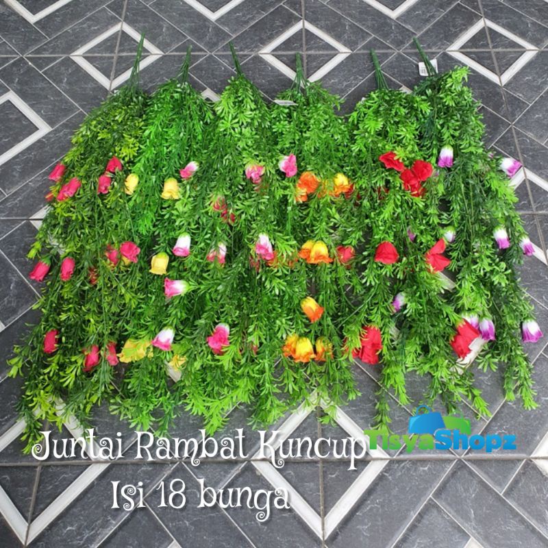 Bunga Rambat Kuncup / Daun Juntai Mawar