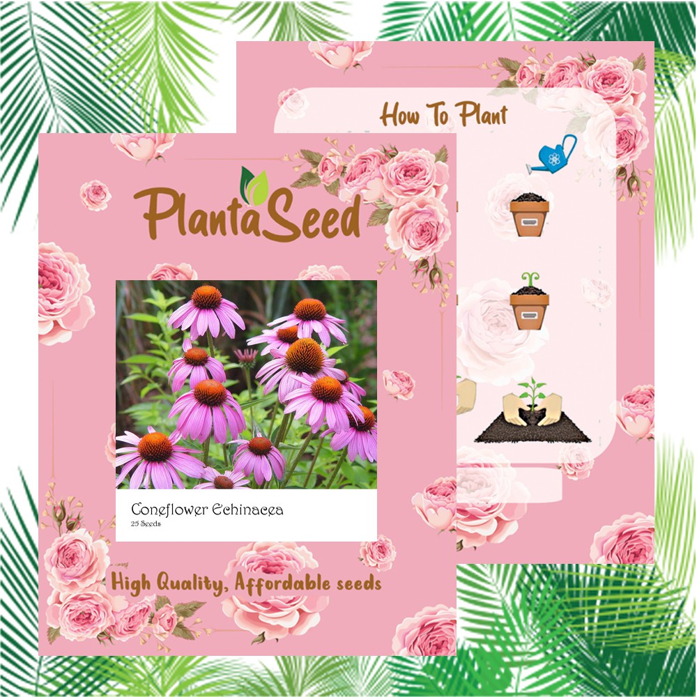 PlantaSeed - 25 Seeds - Coneflower Echinacea Biji Bunga - PAS0196