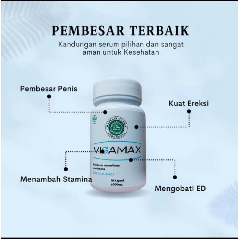 jamu pil kuat obat stamina pria dewasa vigamax herbal