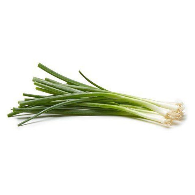 benih daun bawang.