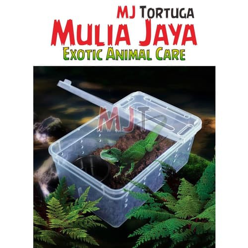 Kandang Tarantula Enclosure Tarantula Box Reptil S 19x12.5x7.5cm Gecko BD Iguana Nomoy H3