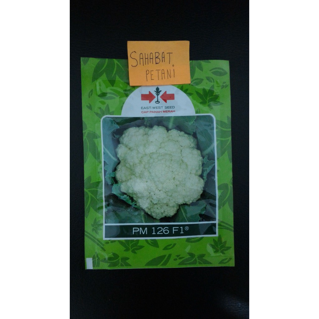 Benih Bunga Kol PM 126 250 Butir