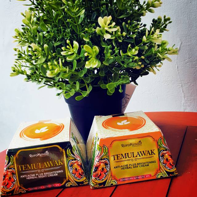 RORO MENDUT - KRIM TEMULAWAK DAY CREAM
