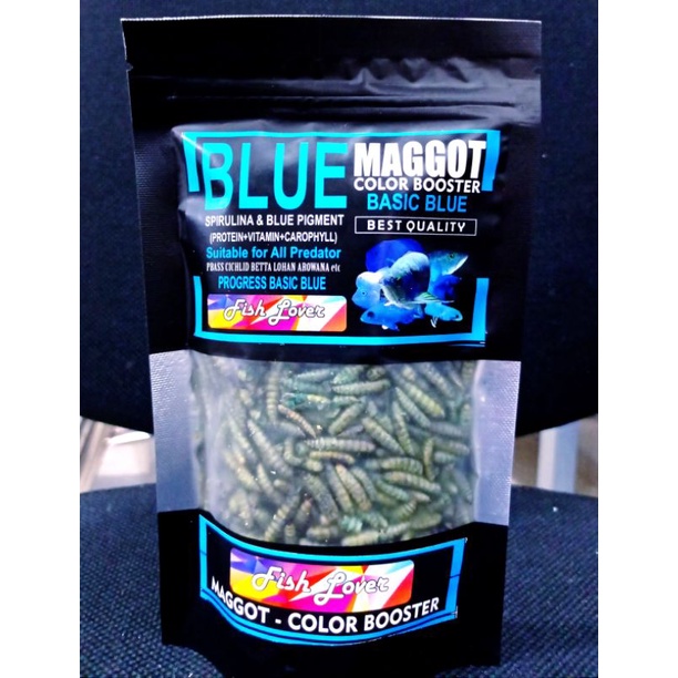 Makanan Ikan Predator Maggot Kering Grade A++ FISH LOVER RED BLUE YELLOW MAGGOT SACHET COLOR BOSSTER 60gr