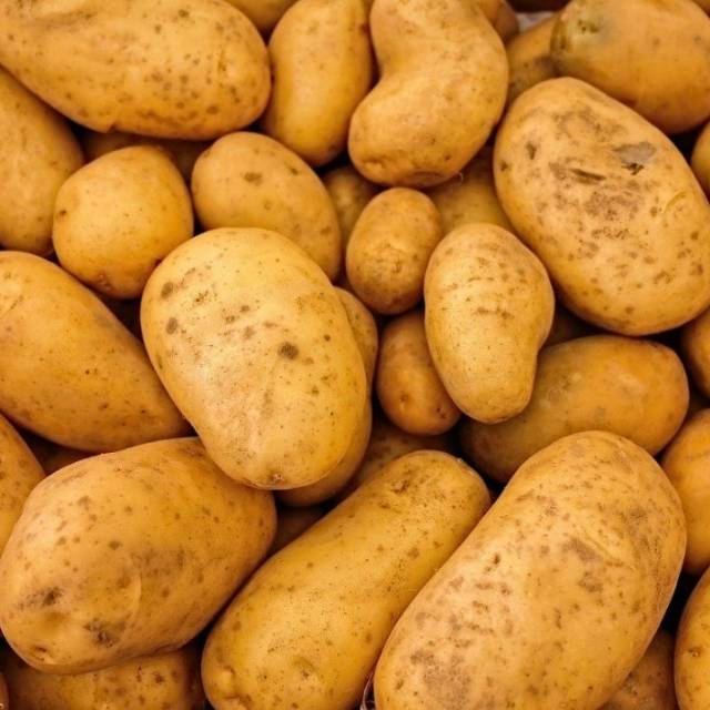 

Kentang dieng Uk. Sedang