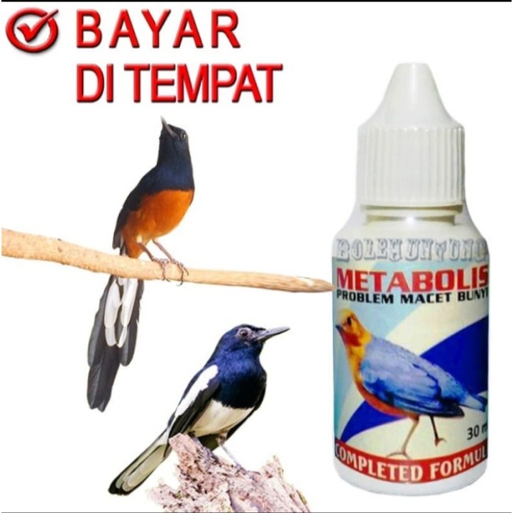 METABOLIS Vitamin Burung Macet Bunyi Murai Kacer Kicau Gacor