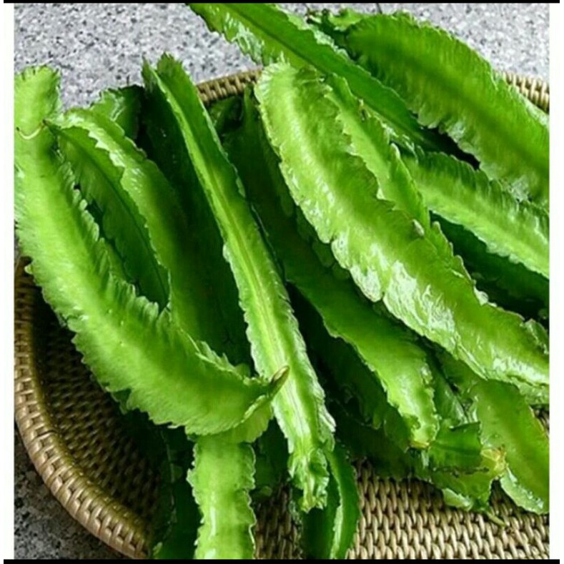 

Puri Segar Shop, Sayur Kecipir 250 Gram