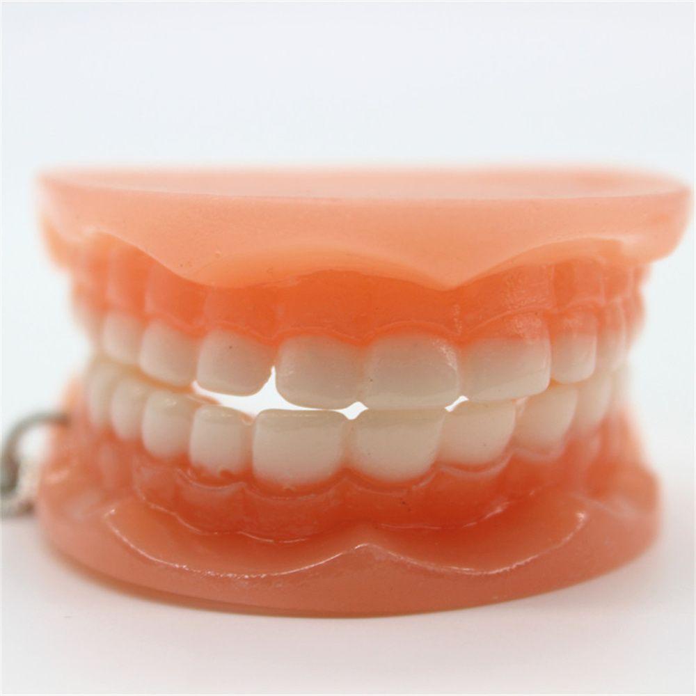 Lanfy Tooth Key Chain Dental Decoration Simulasi Kreatif Resin Bentuk Gigi Gigi Palsu Key Chain