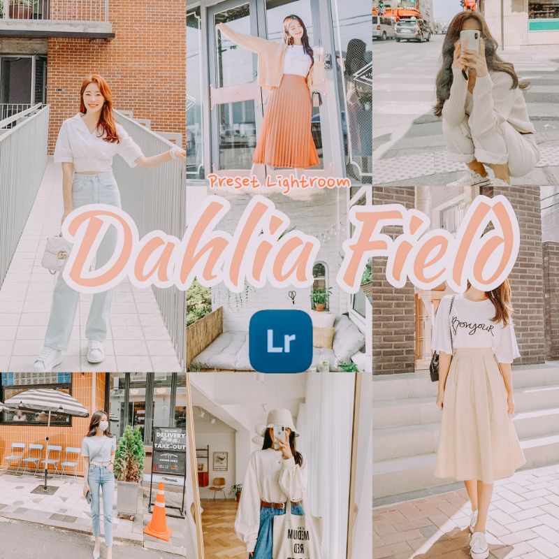 PRESET LIGHTROOM DAHLIA FIELD For IOS &amp; Android