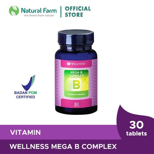 Jual Wellness Mega B Complex Vitamin Anti Stress Dan Saraf Suplemen ...