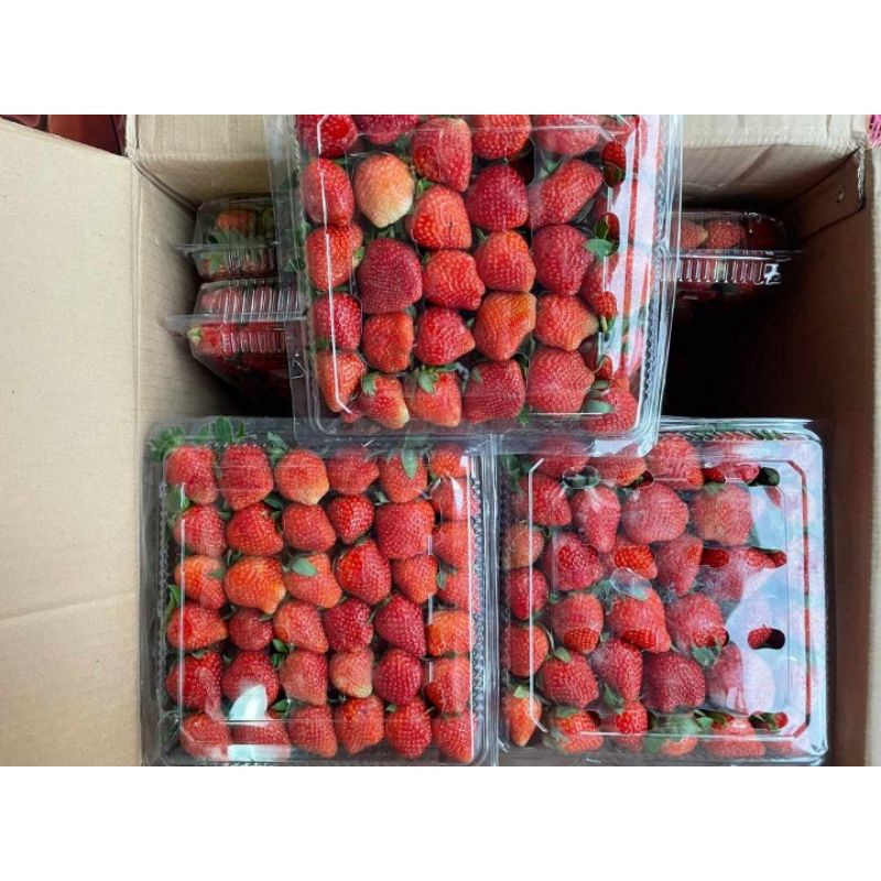 

Strawberry Fresh