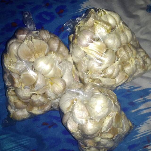 

Bawang kating