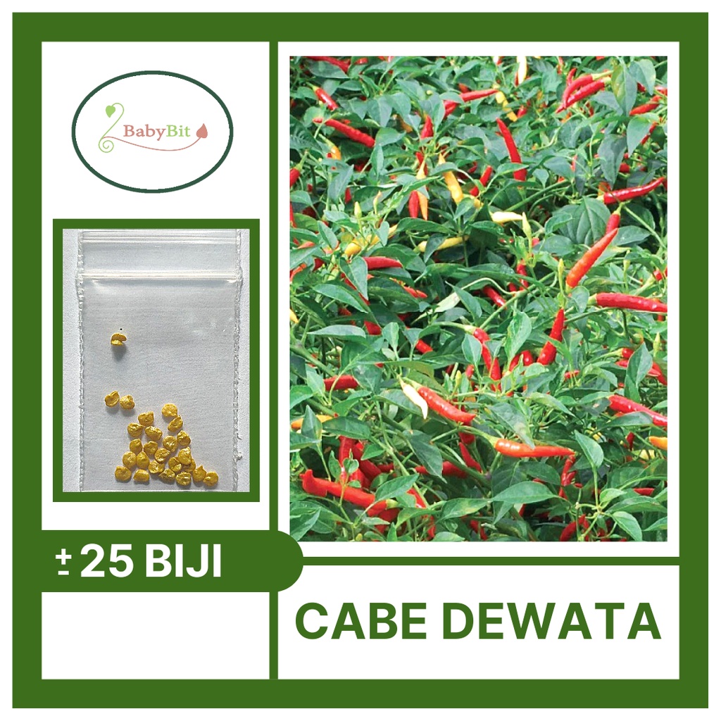 Benih Cabe Rawit Merah Setan DEWATA 43 F1