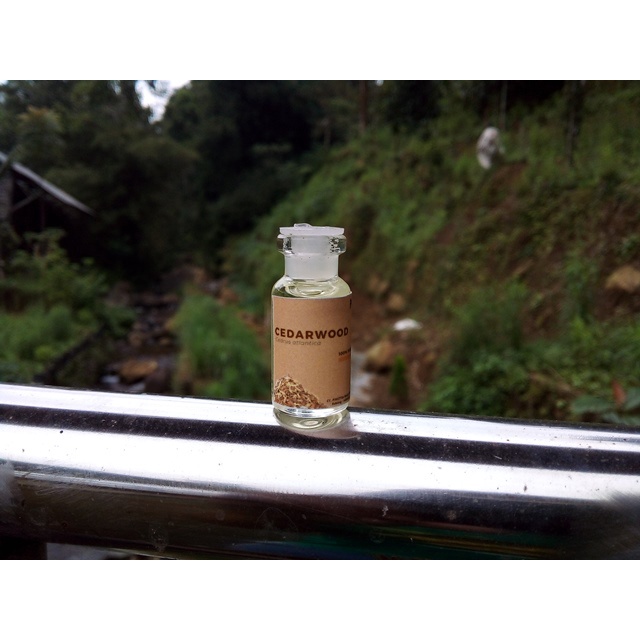 sample 3 ml - Cedarwood oil / minyak kayu cedar (Cedrus atlantica)
