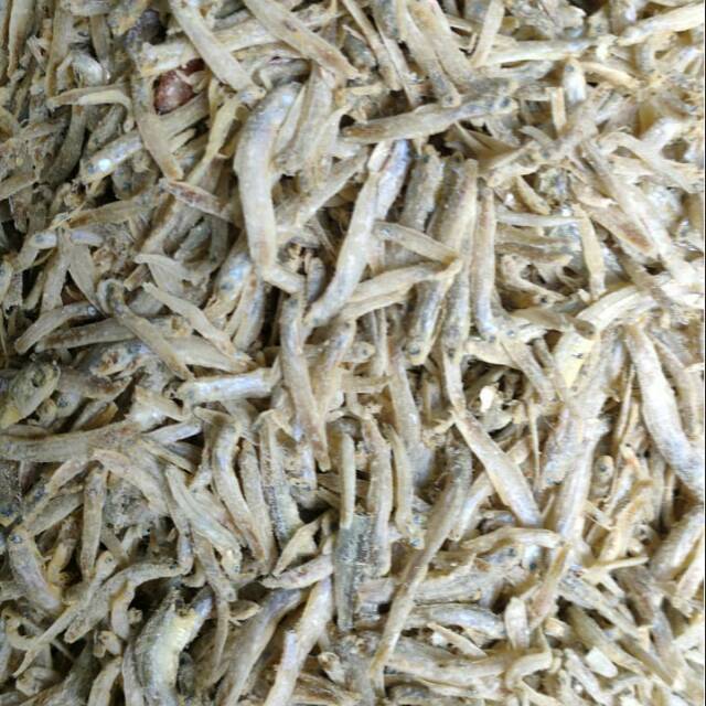 

Teri Senangin