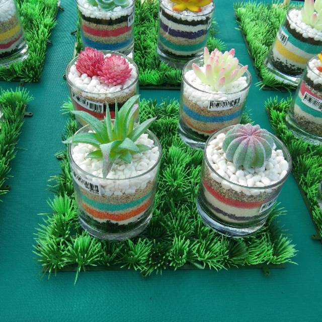 kaktus_echeveria_sintetis