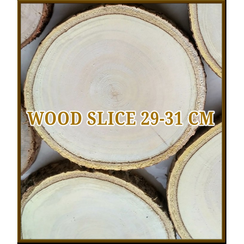 Wood slice 29-31 cm potongan log kayu hiasan dinding dll craft dekor