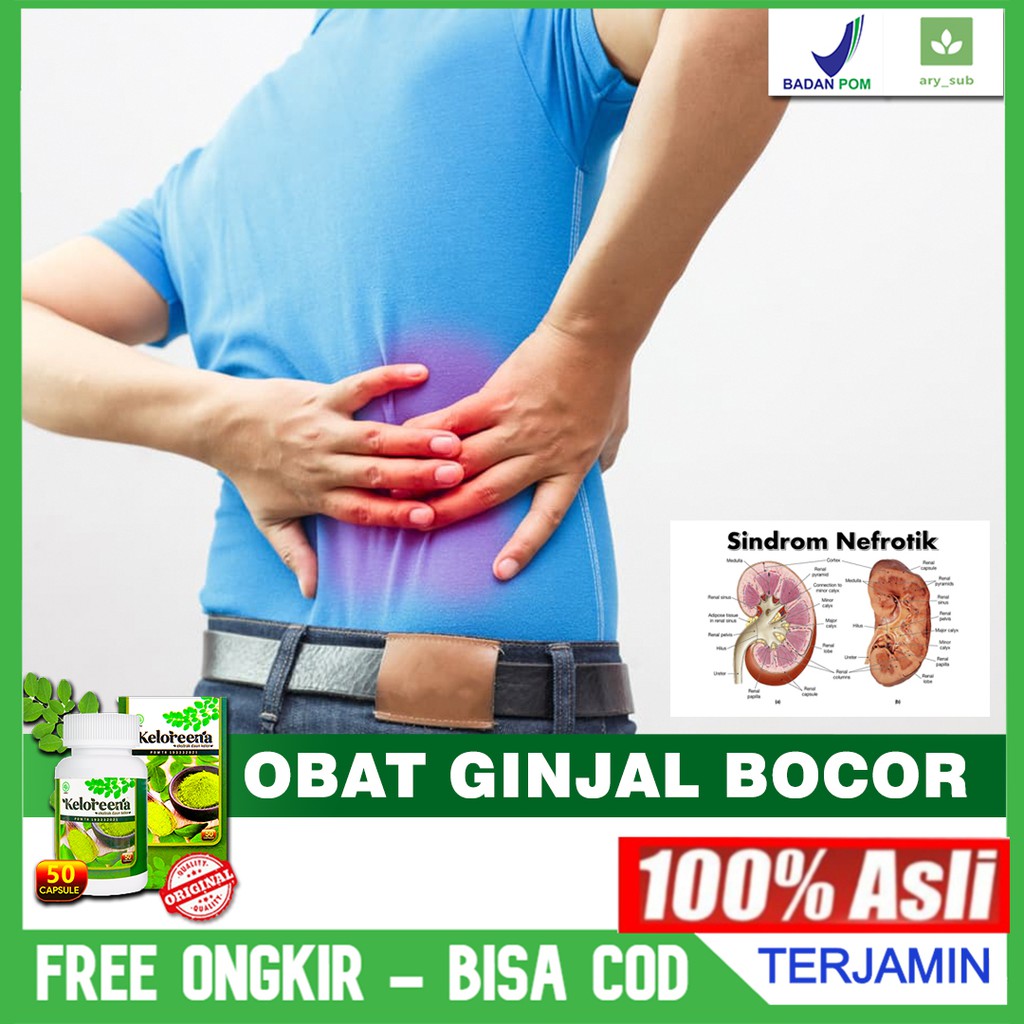 Obat Ginjal Bocor - Gagal Ginjal - Ginjal Bengkak - Infeksi Ginjal