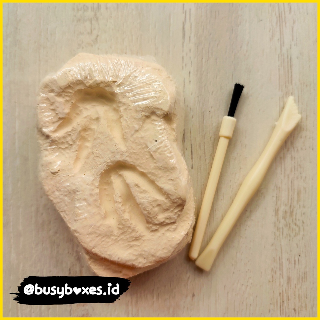 [busyboxes.id] I dig Dino Fosil mainan edukasi