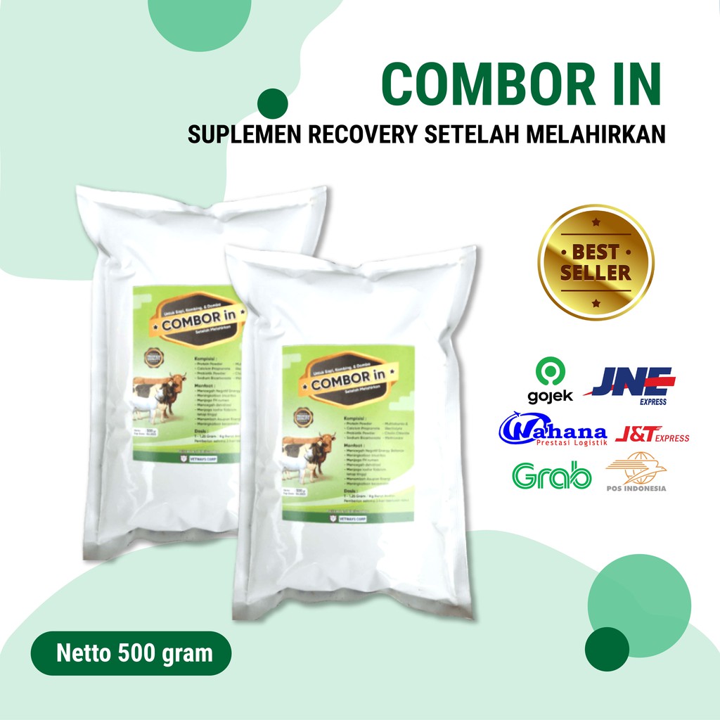 Combor In (Fresh Drench) Suplemen Ternak setelah Induk Melahirkan