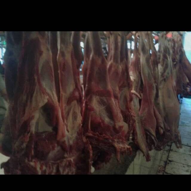 

Paha Depan Kambing 1 Kg