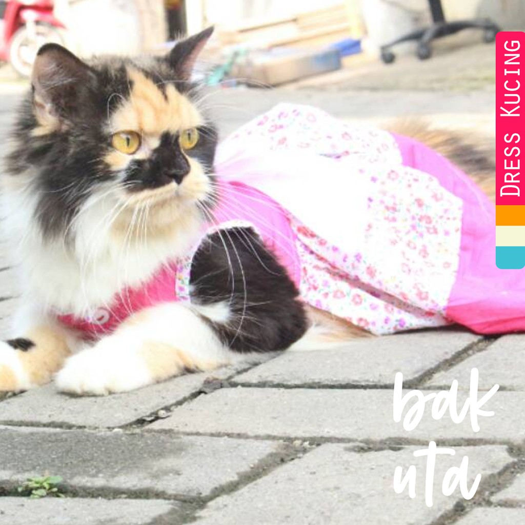 Dress princess motif bunga untuk kucing dan anjing / baju kucing imut / dress size S M L XL