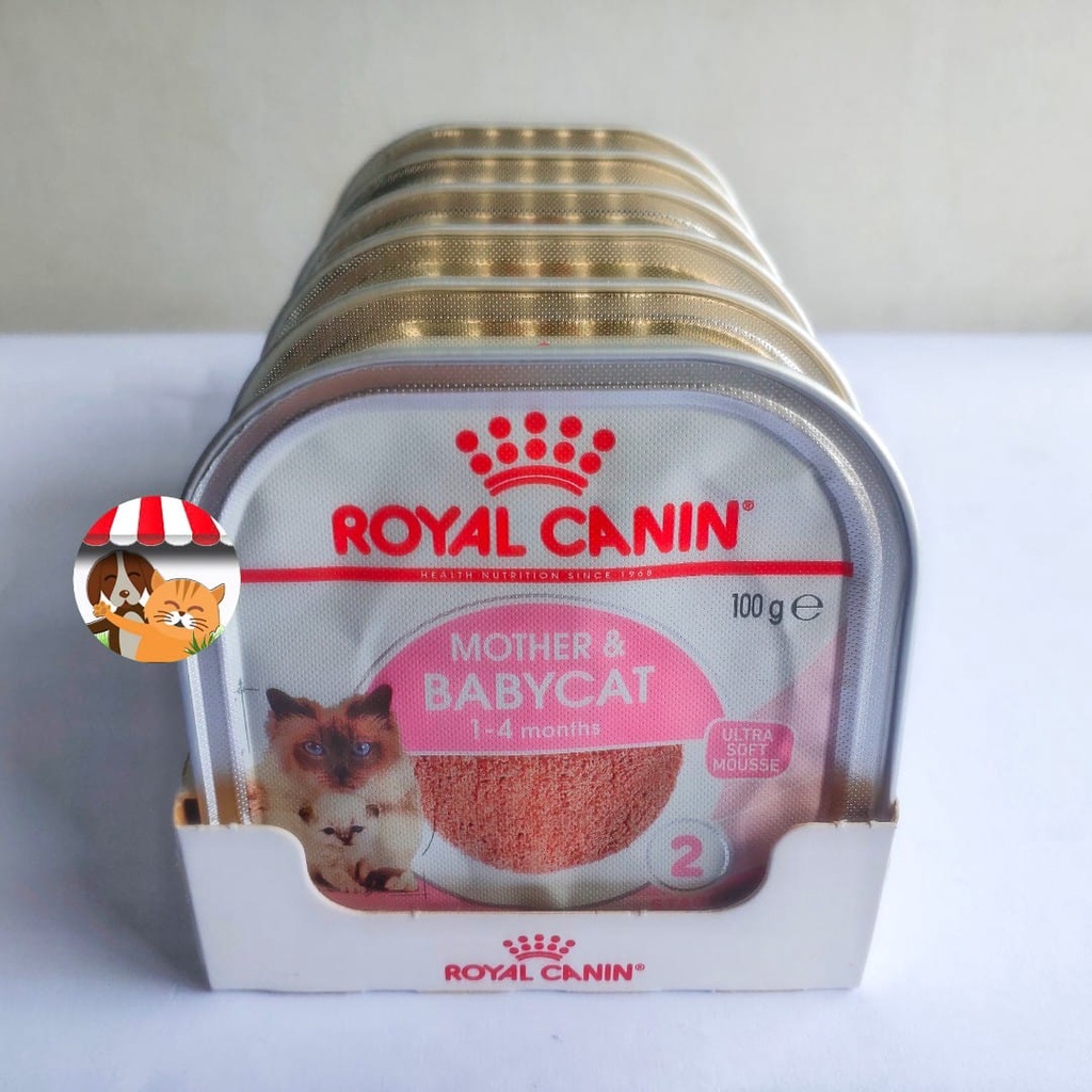 Royal Canin Mother And Baby Cat Wet Food 100gr