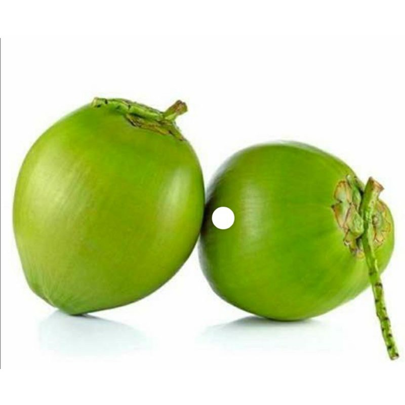 

kelapa