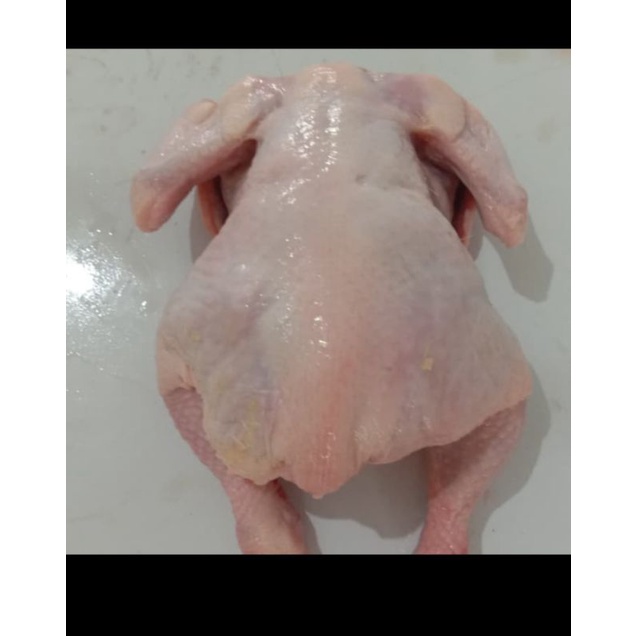 

Ayam fresh dan ayam frozen