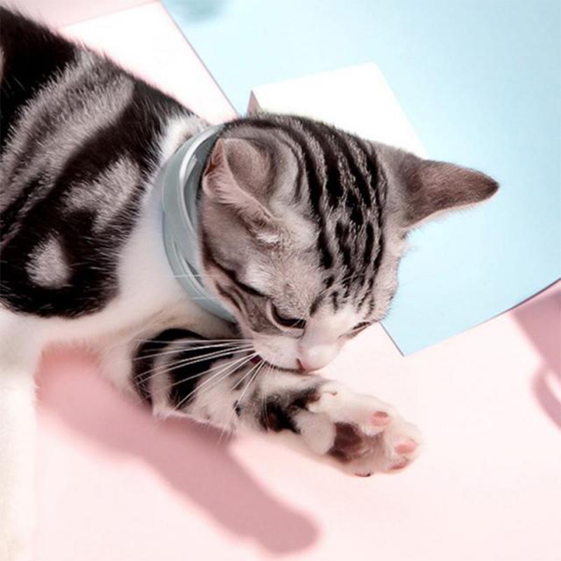 Dog Collar Cat Collar Pet Collar Anti Tick Tungau Flea Collar untuk Pet Kitten Puppy Perlindungan Abadi-Won