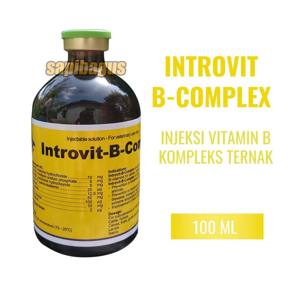 Introvit-B-Complex 100 ml - Vitamin B Ternak - Sapibagus