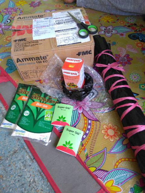 Super Gib Zpt Ga3 Pupuk Daun