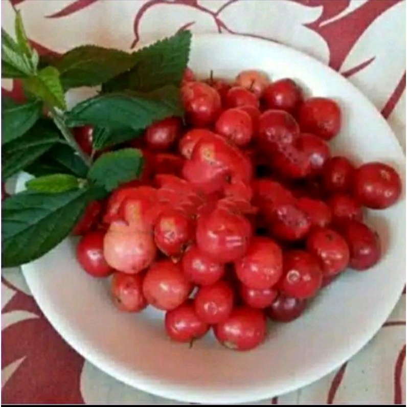 Manisan buah Loba Lobi 500g