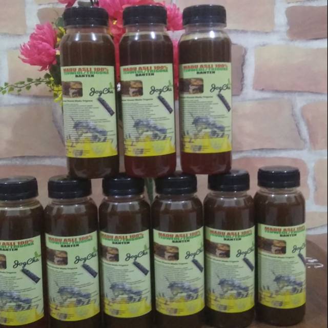 

MADU ASLI TRIGONA 100%