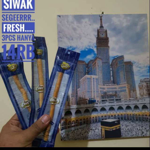 

Siwak Segar isi 3pcs