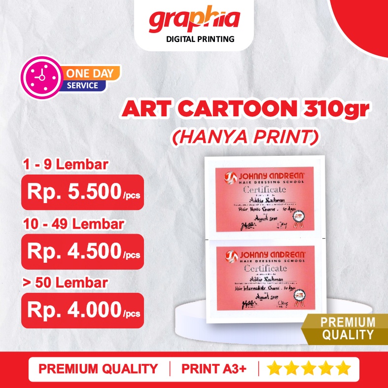 Print Art Cartoon A3+ 310gr