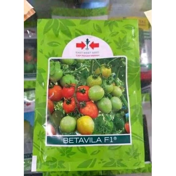 Benih tomat betavila f1 10 gram