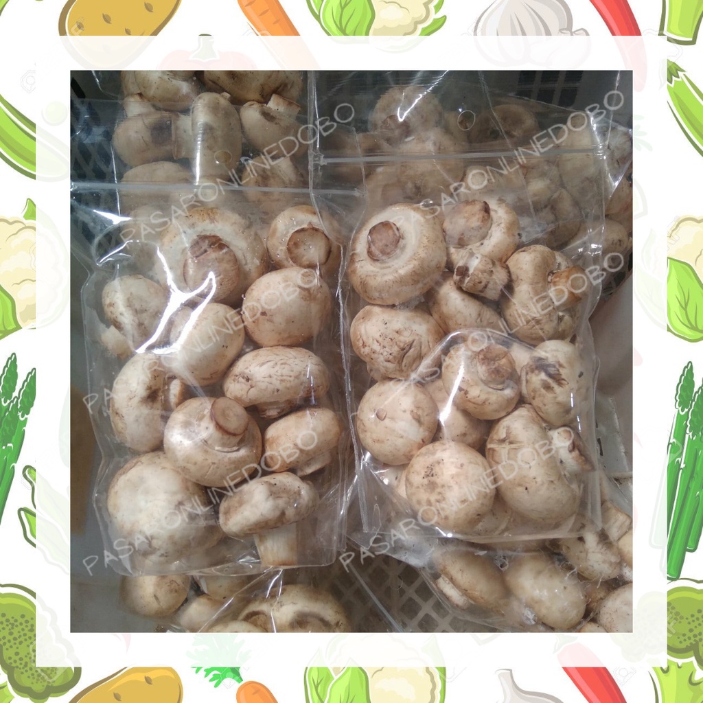 Jamur Champignon Fresh / Jamur Kancing
