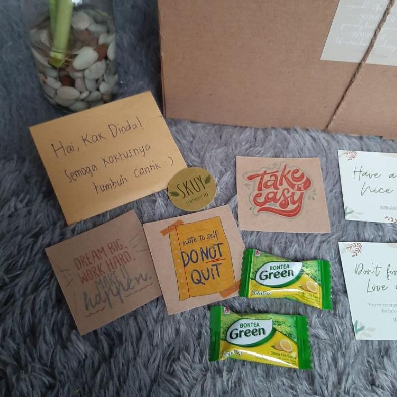 

Jk6Code COD Giftbox Hampers Kado Unik Planter Kit Bambu Hoky Murah Aesthetic Hadiah Graduation Birth